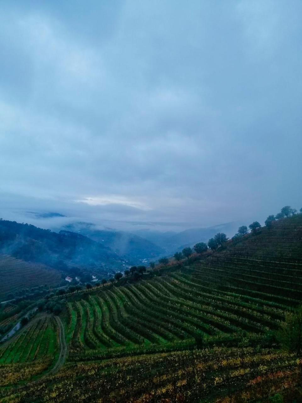 Вилла Quinta De Baixo Vila Marim Экстерьер фото