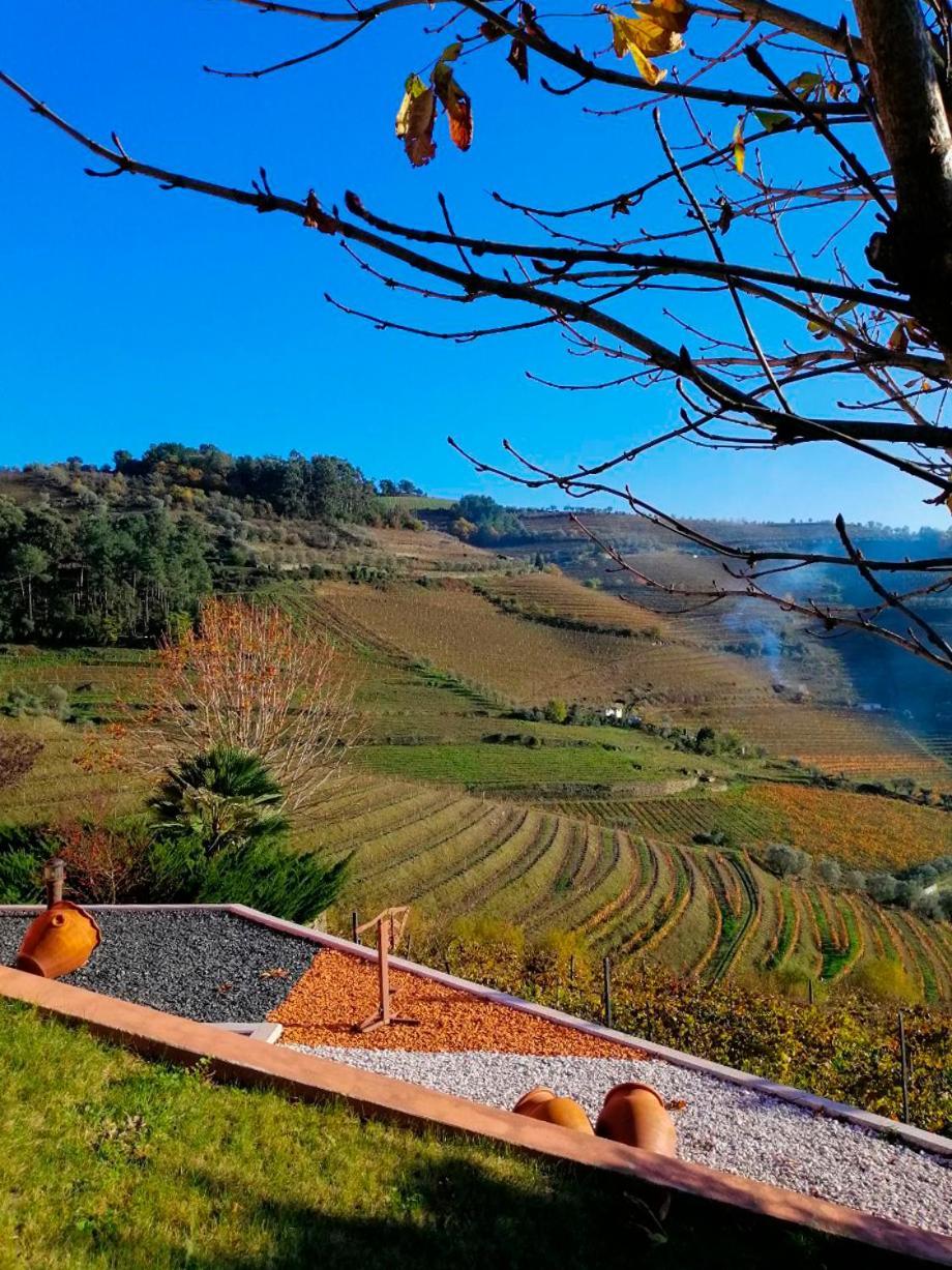 Вилла Quinta De Baixo Vila Marim Экстерьер фото