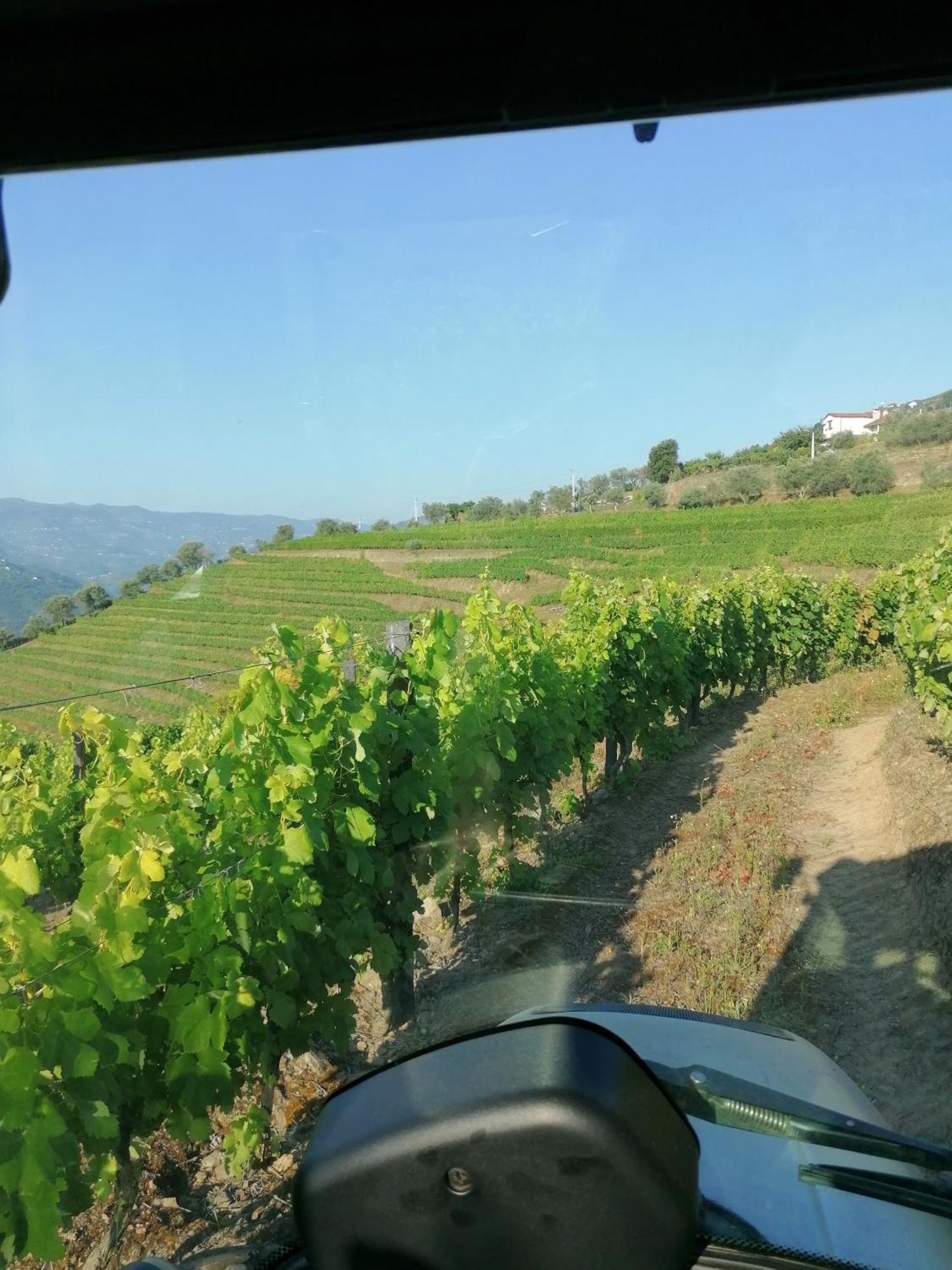 Вилла Quinta De Baixo Vila Marim Экстерьер фото
