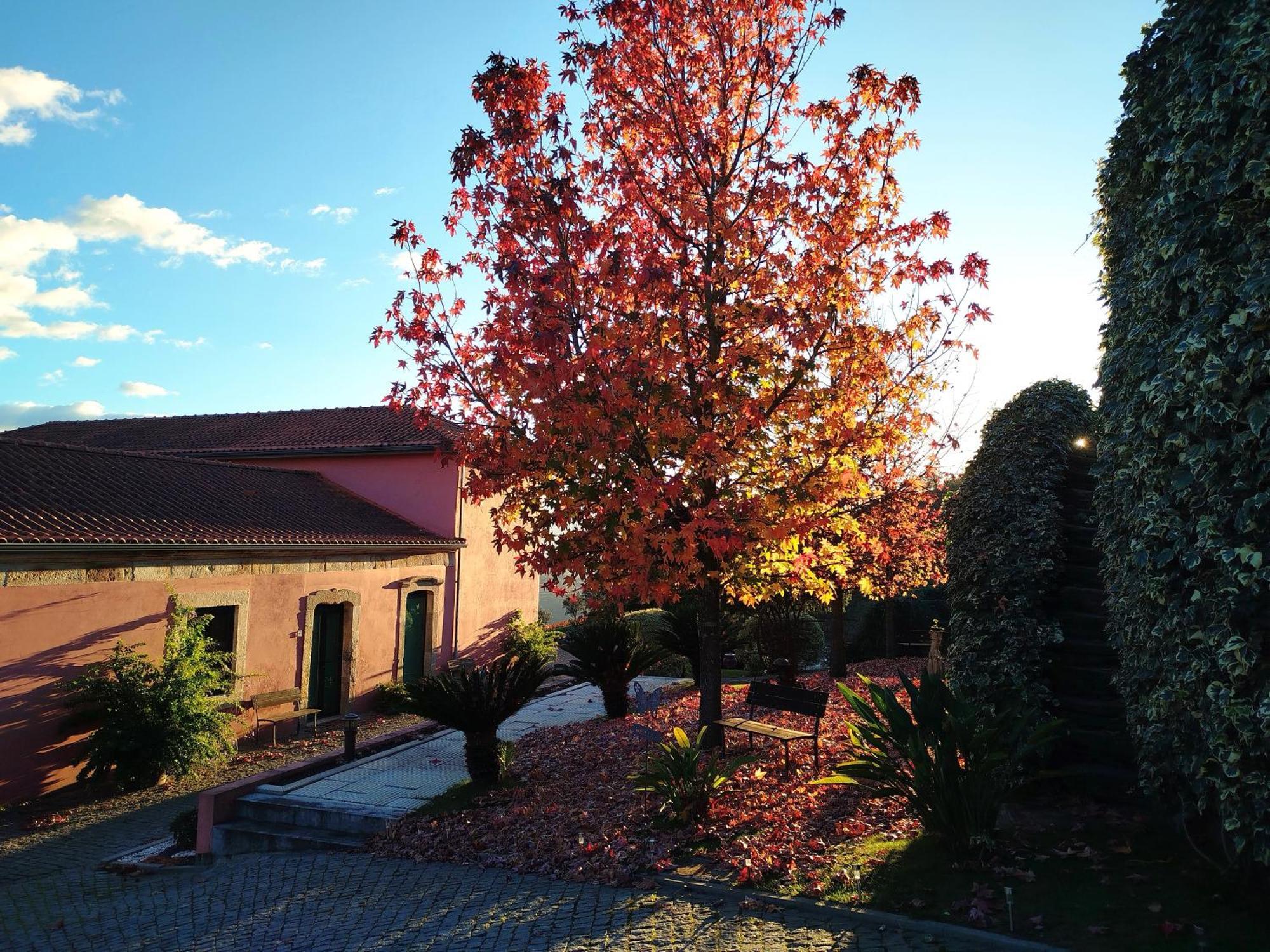 Вилла Quinta De Baixo Vila Marim Экстерьер фото